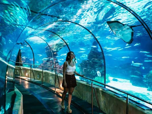 Barcelona Aquarium: Entry Ticket