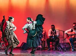Barcelona: Flamenco Show at the Theater side 2
