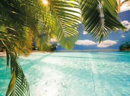 Brandenburg: Tropical Islands Resort Day Ticket side 1