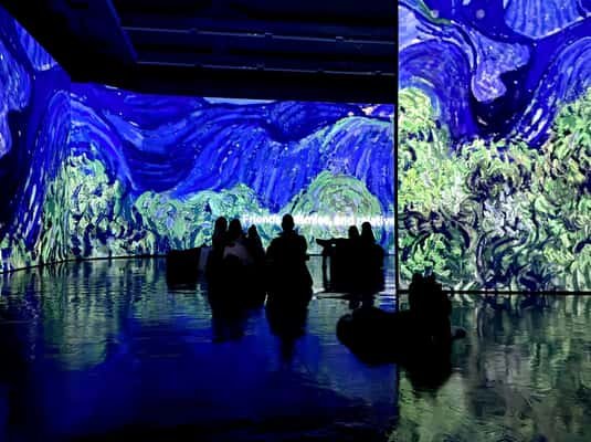 Budapest: Van Gogh Immersive Exhibition Ticket