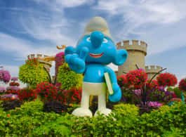 Dubai Miracle Garden Skip-the-Line Ticket & Transport Option side 1