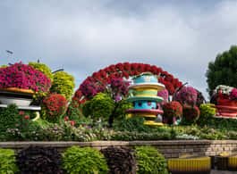 Dubai Miracle Garden Skip-the-Line Ticket & Transport Option side 2