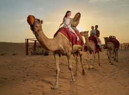 Dubai’s Best Desert Safari: Live Show & Gourmet BBQ Dinner side 1
