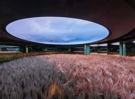 Dublin: Guinness Storehouse Entry Ticket side 2