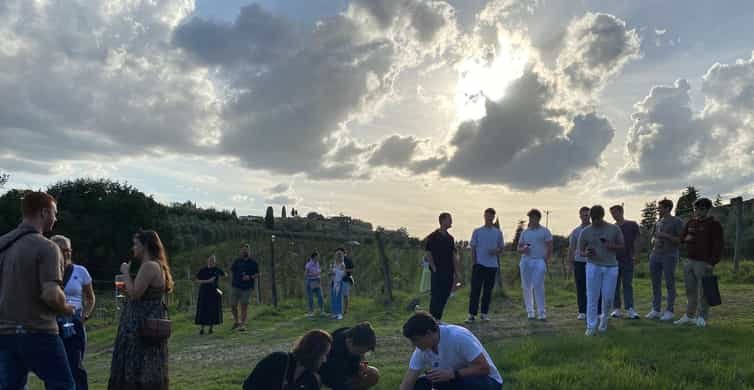 Florence: Chianti Wineries Tour with Wine Tasting side 2