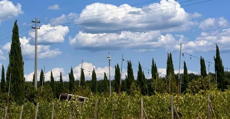 Florence: Pisa, Siena and San Gimignano Day Trip with Lunch side 2