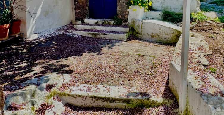 From Athens: Hydra, Poros, and Aegina Day Cruise with Lunch side 2