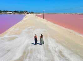 From Cancún: Rio Lagartos & Las Coloradas Day Trip & Lunch side 1