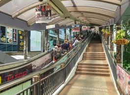 Hong Kong Day Tour: Priority Peak Tram, City Walk & Dim Sum side 1