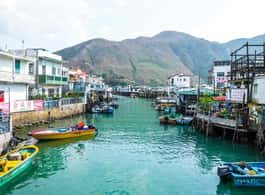 Hong Kong: Dolphin Cruise, Big Buddha & Lantau Island Tour side 2