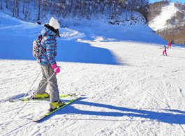 Istanbul: Bursa & Uludag Tour with Lunch & Cable Car Option side 2