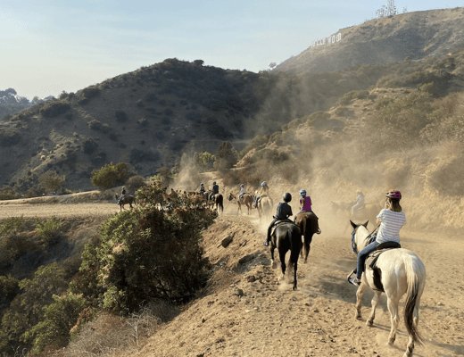 Los Angeles: Mulholland Trail Horseback Riding Tour side 1